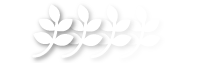 fbox1